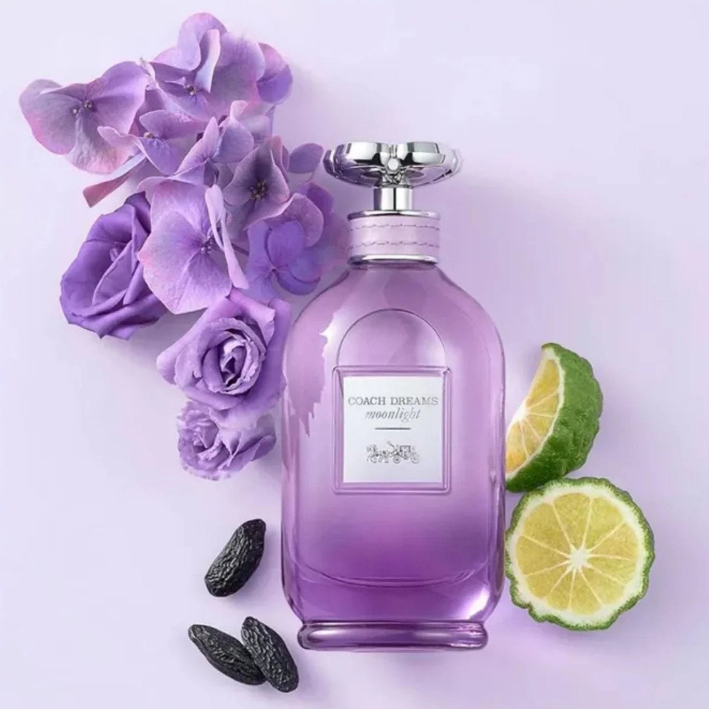 Coach Dreams Moonlight Eau de Parfum
