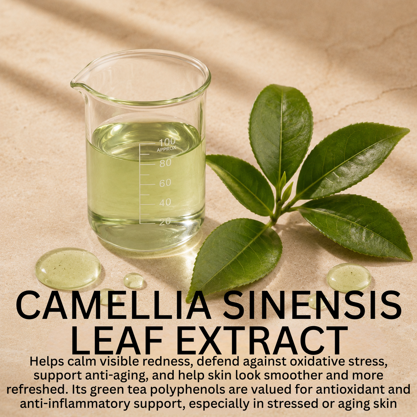 Gymsegbë - New Skin Natural Intensive Acne Serum