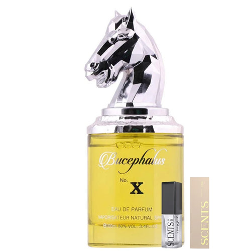 Armaf Bucephalus X Eau de Parfum