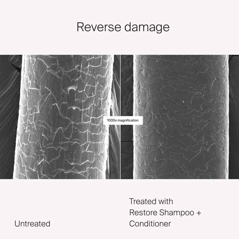 Living Proof Restore Shampoo